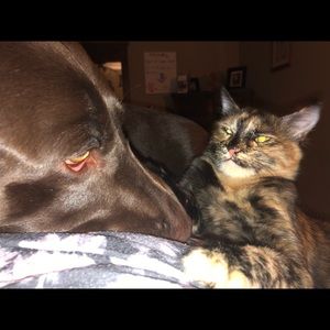 Meet your Posher, Monica